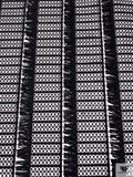 Novelty Fringe Striped Guipure Lace - Black
