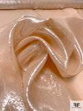 Lurex Pinstriped Silk Chiffon - Nude / Silver