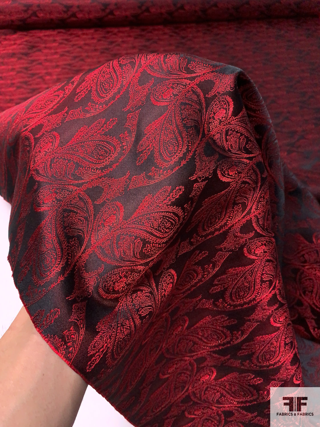 Paisley Vines Silk Necktie Jacquard Brocade - Red / Black