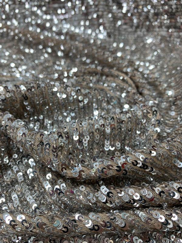 Horizontal Small Sequins Design on Nude Stretch Netting - Silver / Nude