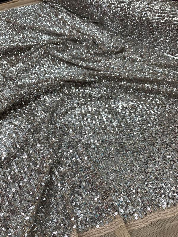 Horizontal Small Sequins Design on Nude Stretch Netting - Silver / Nude
