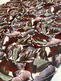 Large Leaf Printed Cotton Twill - Maroon / Lavender / Sage / Pink
