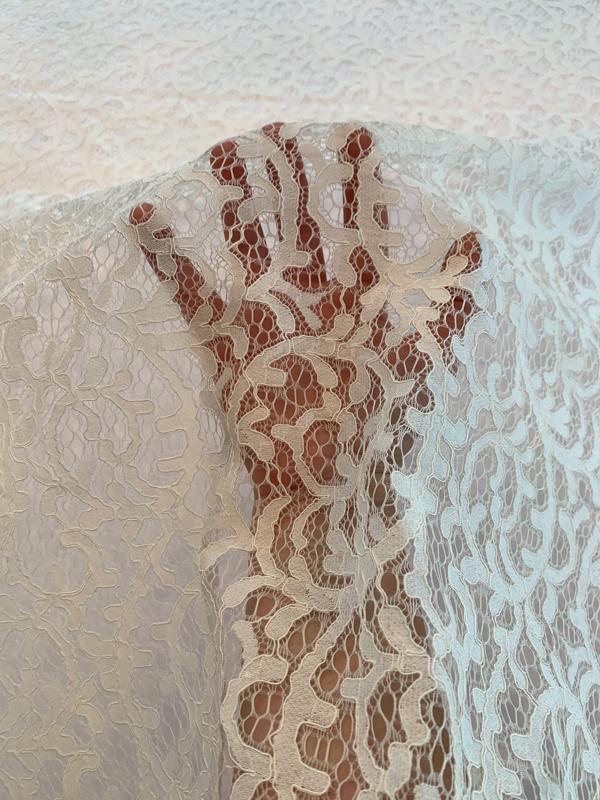 Paisley-Like Vines Raschel Lace - Off-White
