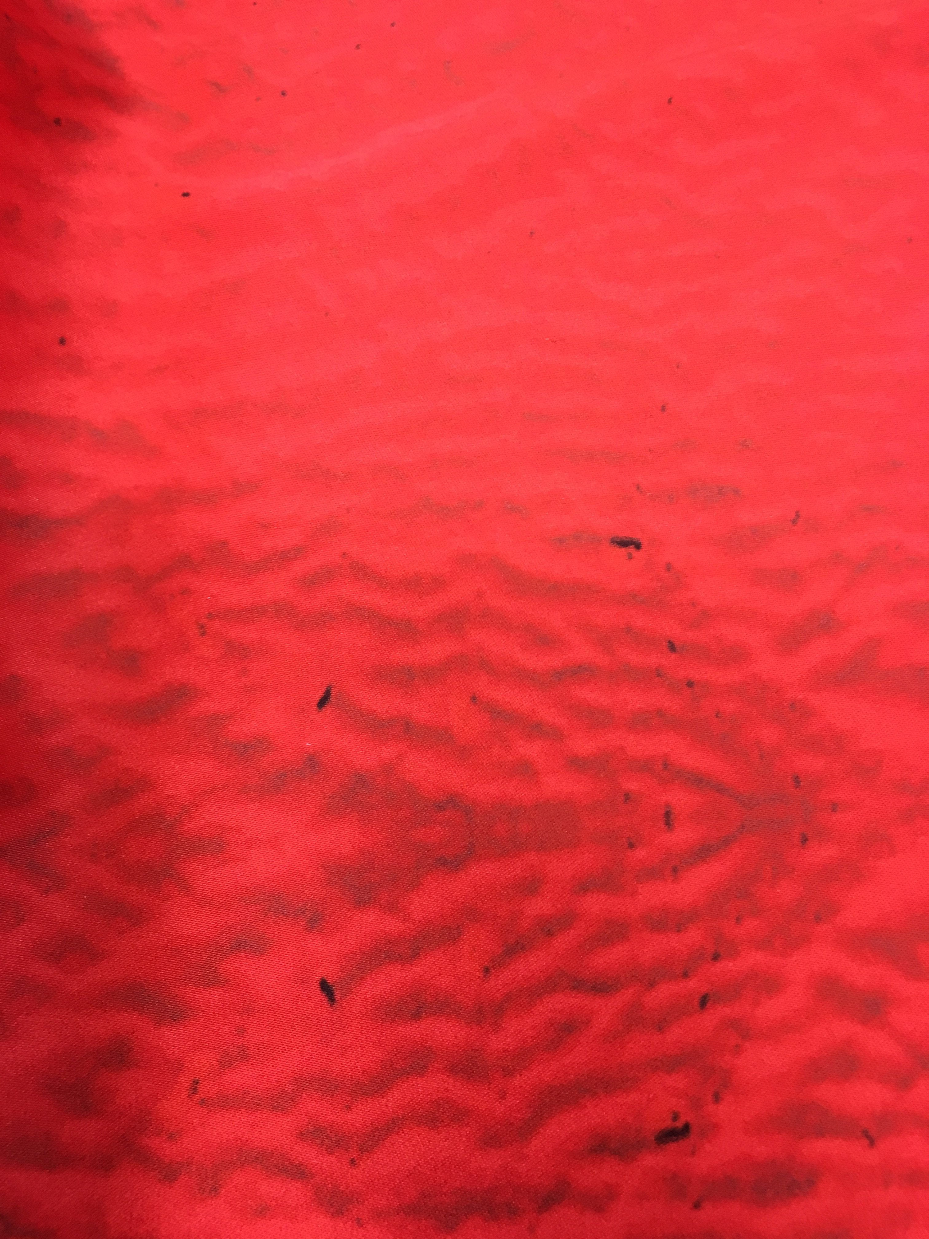 Italian Heavyweight Printed Stretch Silk Charmeuse - Scarlet Red / Grey