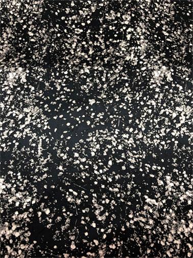 Black Floral Splatter Silk Charmeuse | FABRICS & FABRICS – Fabrics ...