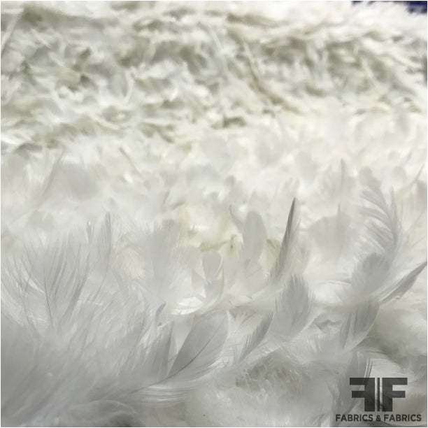 Novelty Feathers - White